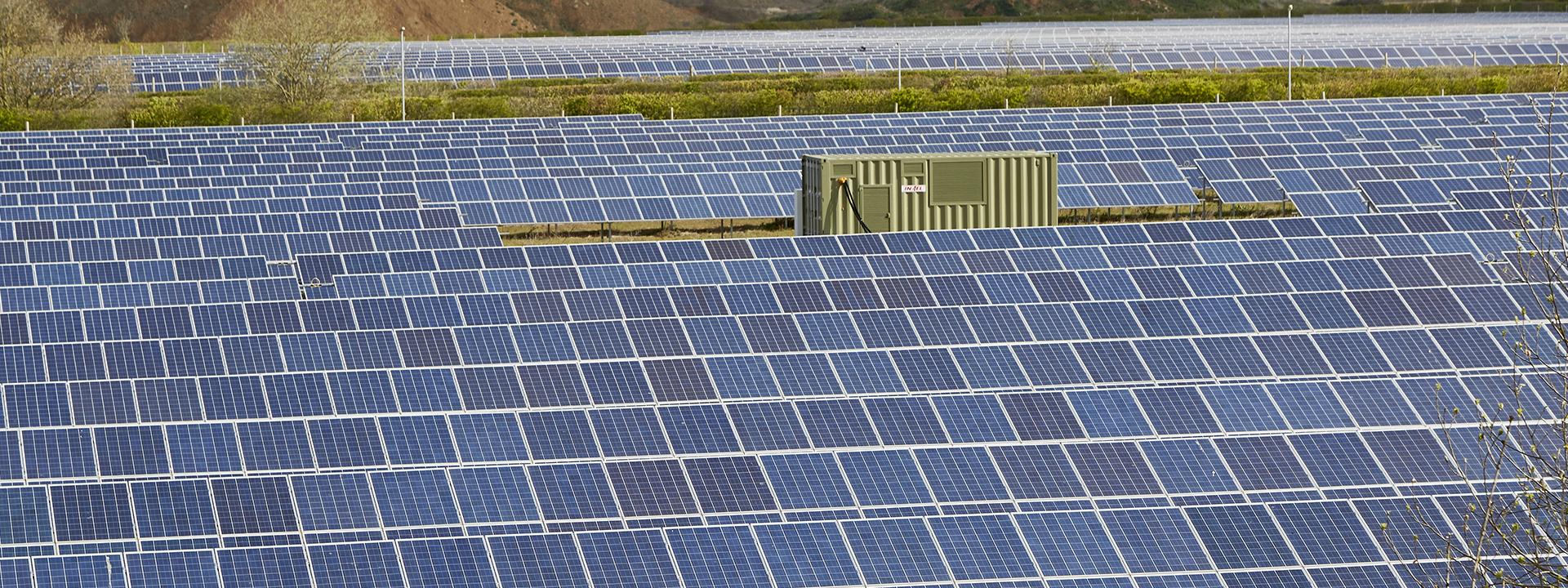 Managing Sustainability. 